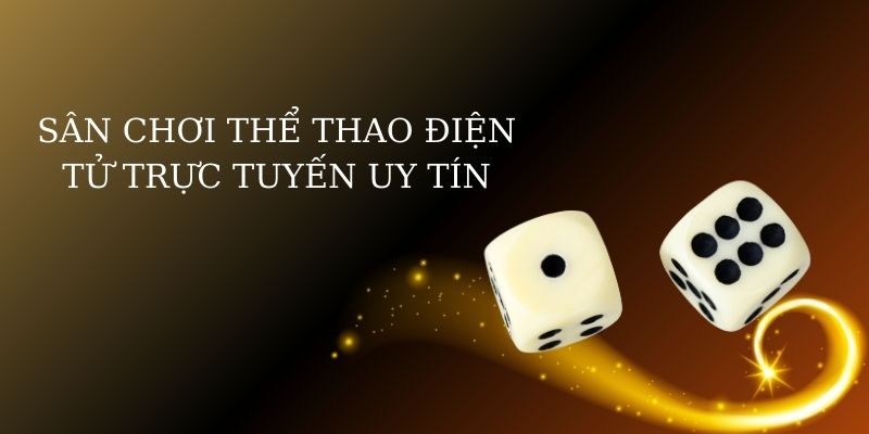 Trải nghiệm thể thao hấp dẫn
